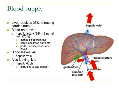 They also take waste and carbon dioxide away from the tissues. PPT - Drug Use in Chronic Liver Disease PowerPoint ...
