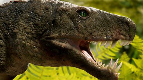 Prehistoric Crocodile Of 230 Million Years Old Found In Brazil Was The