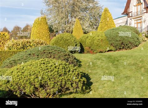 Cottage Garden With Green Lawn Trees Hedges Trimmed Bushes And Large