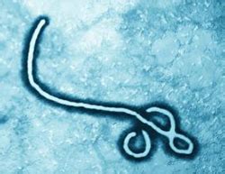 Answering Questions about Ebola - News Center