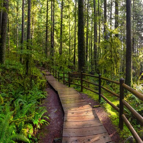 The 5 Best Parks To Experience In Vancouver Bc Travelawaits