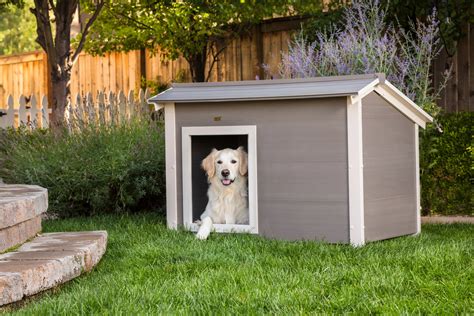 Ecoflex Thermocore Ii Super Insulated Dog House Sale Offers Save 61
