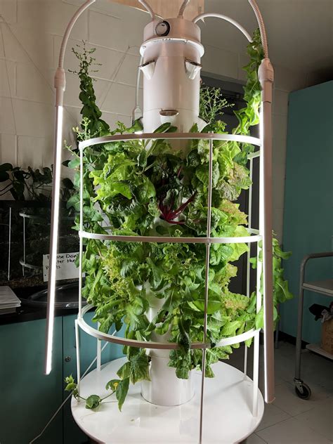 Hydroponic Garden Tower What Are The Best Garden Towers Grow Your