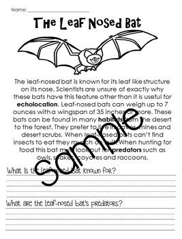 Here are some identifiers for mammals, birds, and bats. Bats Nonfiction Informational Text Unit by Having Fun First | TpT