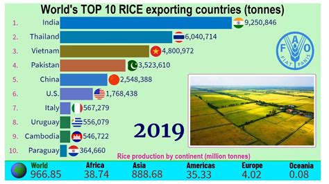 KJCLUB 이탈리아의 쌀농사 수출량 엄청나다