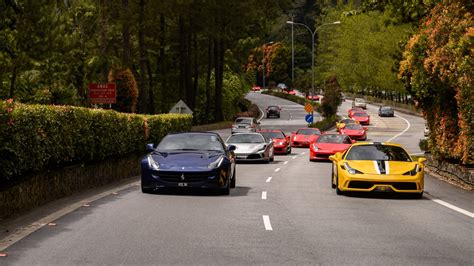 Car companies frequently use animals such as horses and fast leopards to symbolizing speed, strength, and agility. Ferrari Owners Take The Ultimate Mega Convoy To Resorts World Genting | RobbReport Malaysia