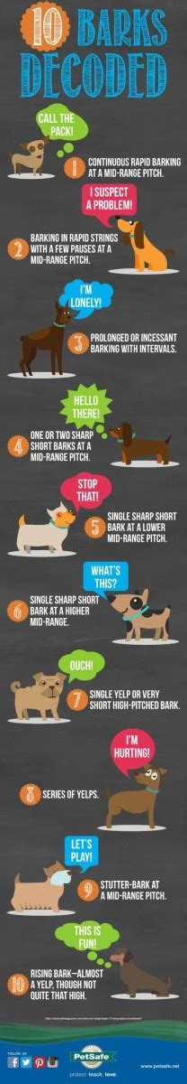 Dog Body Language Chart Decoding Behavior With Images Dog Care Dog