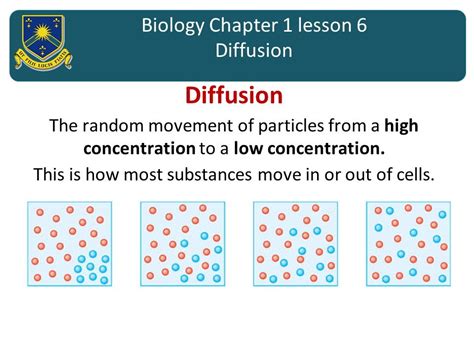 Gcse Science Biology Transport In Cells Diffusion Aqa Youtube