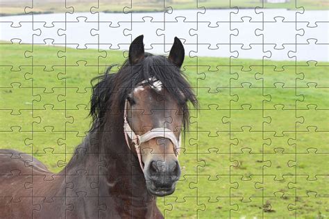 Wissenschaftlich Arbeit Verstehen The Jigsaw Puzzle Gratuit Abhängig