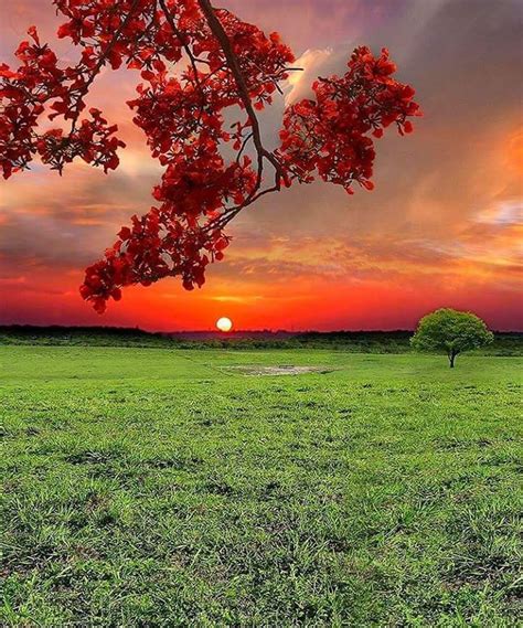 photo field of dreams beautiful world beautiful things wonderful places sunrise sunset
