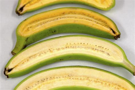 Scientists Create Genetically Modified ‘super Banana That Could Save