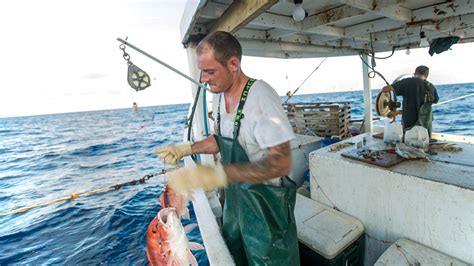 The Race To Fish Slows Down Why Thats Good For Fish Fishermen And