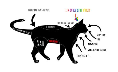 Cat Petting Chart How To Pet Your Cat By Wolf Amaterasu On Deviantart