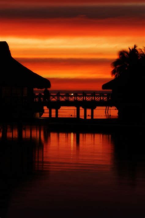 Tropical Sunset Iphone 4s Wallpapers Free Download