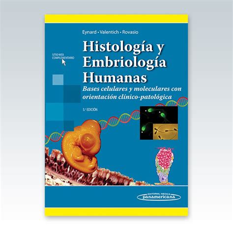 Álbumes 93 Foto Embriologia Humana Y Biologia Del Desarrollo Arteaga