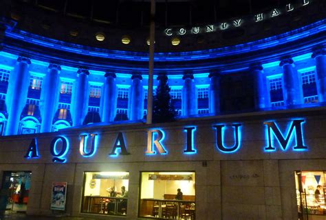 London Aquarium London