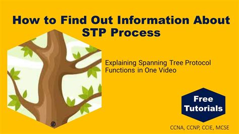 How To Find Out Information About Stp Process Youtube