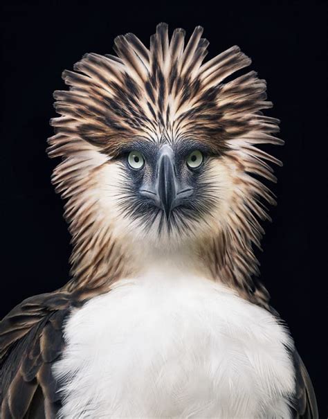 A Photographer Spent Two Years Photographing Animals That May Soon Be