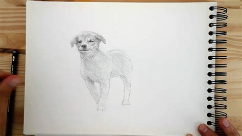 Things that appear closer to us will be lower and get a little higher as they move away from us. How To Draw A Dog: Easy Step By Step Video Tutorial (avec ...