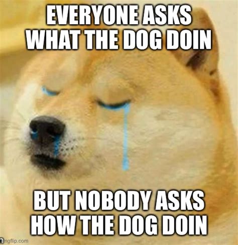What The Dog Doin Imgflip
