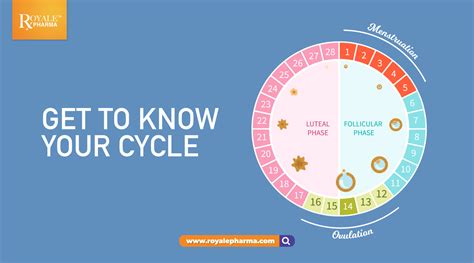 Cycle Syncing How To Adapt Food And Exercise To Your Menstrual Cycle