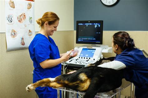 Relief Veterinary Technician Or Experienced Veterinary Assistant At