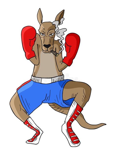 Kangaroo Jack Boxing Cartoon