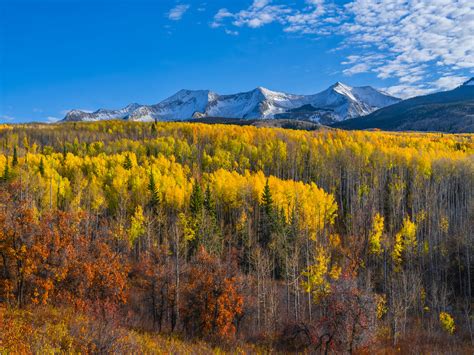 Kebler Pass Sunset Crested Butte Snowcapped Mountains Autumn Colors