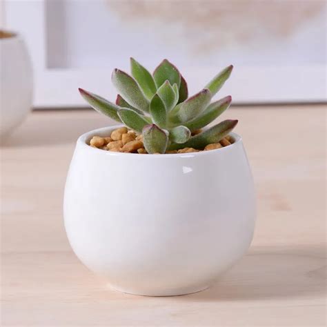 Modern Round Small Potted Bonsai Pot Gardening Succulents Planter Pot
