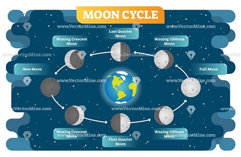 Moon Phase Cycle Vector Illustration Diagram Poster Vectormine Moon