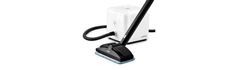 Dupray Neat Steam Cleaner Review