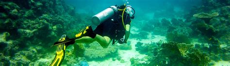 Diving In Saudi Arabia Red Sea Wreck Sites And Persian Gulf Marine Life