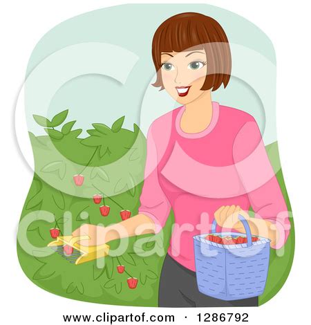 Collect Clipart Clipground