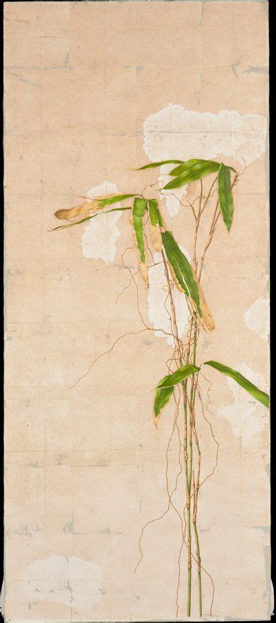 熊笹 作品集 前 壽則『絵画・随筆集』公式サイト 不嘆 Botanical Art Flower Painting