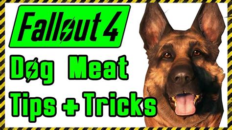 Fallout 4 Dog Meat Tips And Tricks