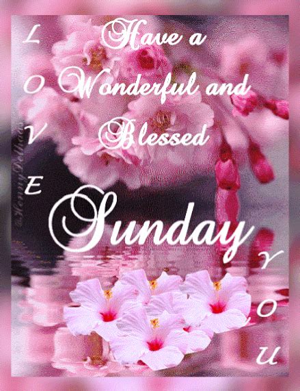 Reflecting Blessed Sunday Animated Quote Pictures Photos And Images