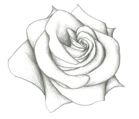 Pencil Drawings Of Hearts And Roses Pencildrawing2019