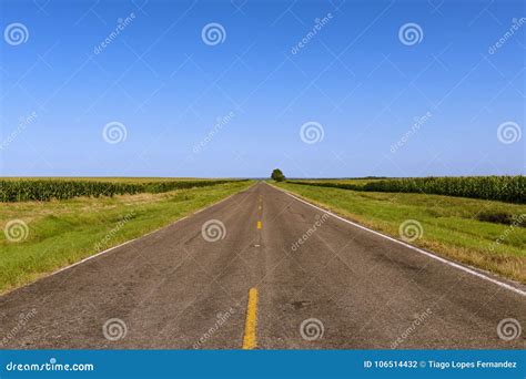 Long Empty Country Road In Rural Texas Along Cornfields Stock Photo