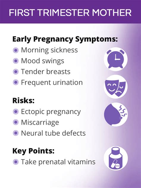 Annieperezdesigns When Do First Trimester Symptoms Ease