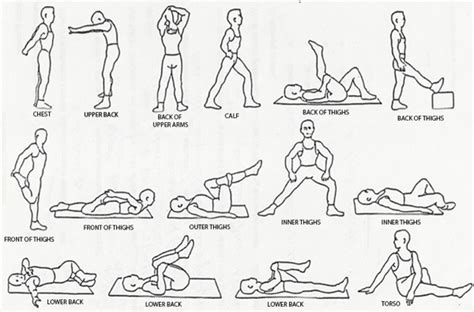 Week Five Dare To Do Challenge Fit In Flexibility The Whole U