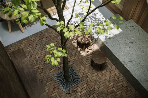 Atrium With Tree Interior Design Ideas