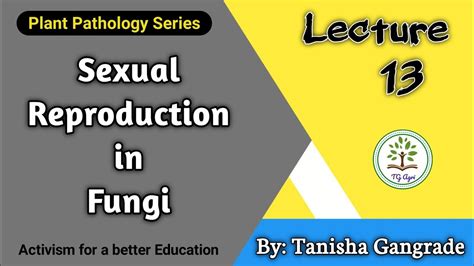 Sexual Reproduction In Fungi Sexual Spore Methods Of Sexual Reproduction In Fungi By Tanisha