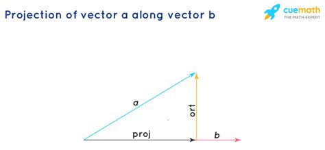 Vector Projection Formula Learn To Find The Vector Projection