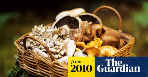 Wild Mushroom Foraging Is Damaging Forests Warn Nature Groups Trees