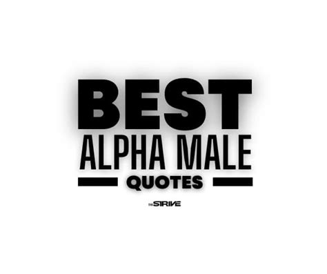 50 Best Alpha Male Quotes To Inspire The Best In You Alpha Male