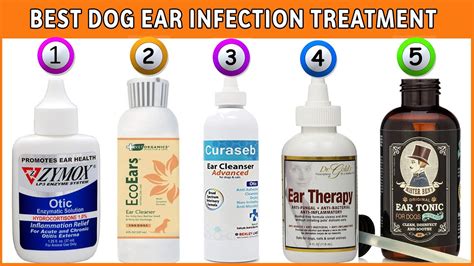 Best Dog Ear Cleaners Top Dog Ear Infection Treatment Reviews Youtube