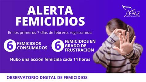 Observatorio Digital De Femicidios De Cepaz Documentó Seis Femicidios