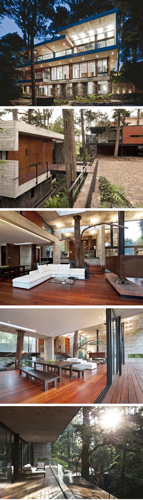Corallo House By Paz Arquitectura Architecture Modern Architecture