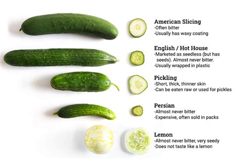 Cucumbers Ask The Food Geek