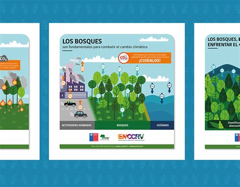 Infografías Sobre Bosques Y Cambio Climático Conaf On Behance